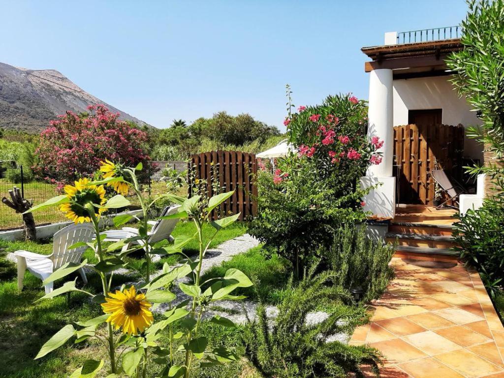 Garden & Sea