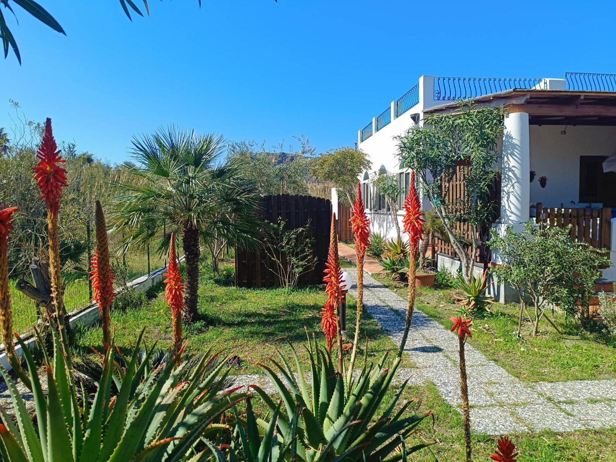 Garden & Sea *